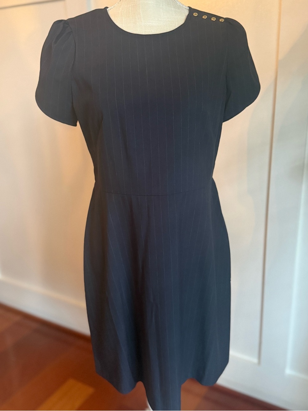 LOFT Navy Pinstripe Short-Sleeve A-Line Dress with Shoulder Buttons